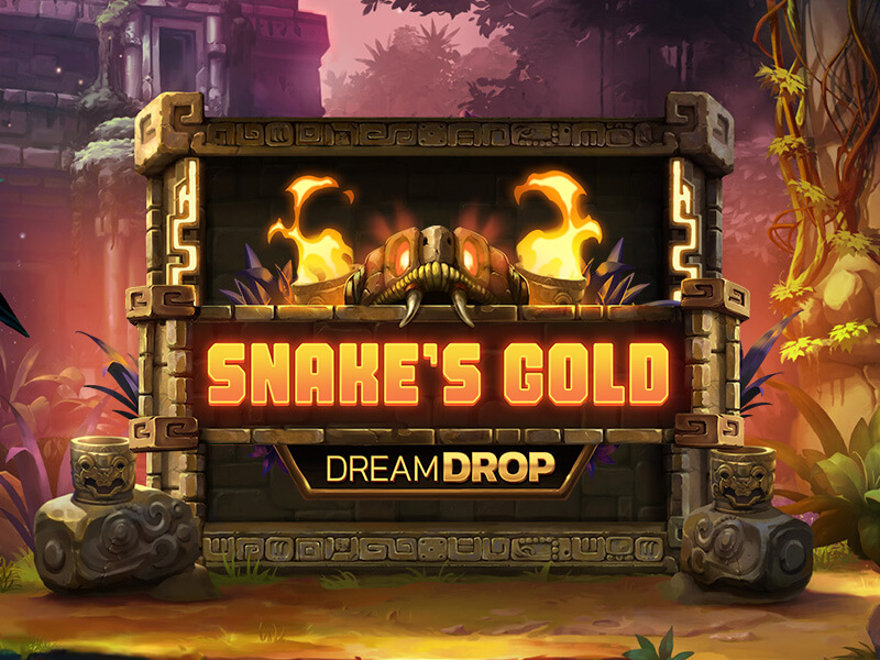 Dealer Clara - Especialista em Snake's Gold Dream Drop
